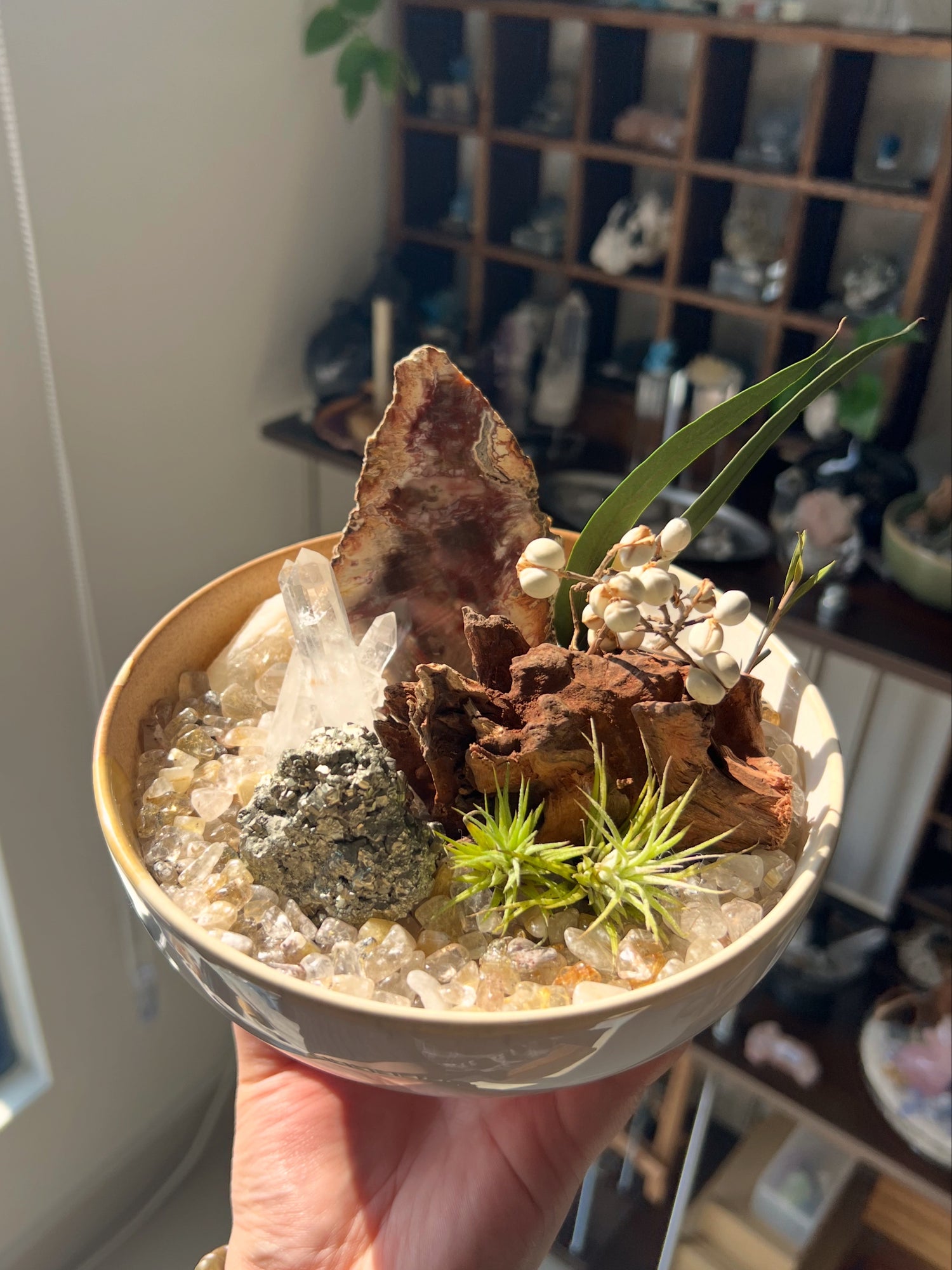 Crystal Gardens 水晶花园