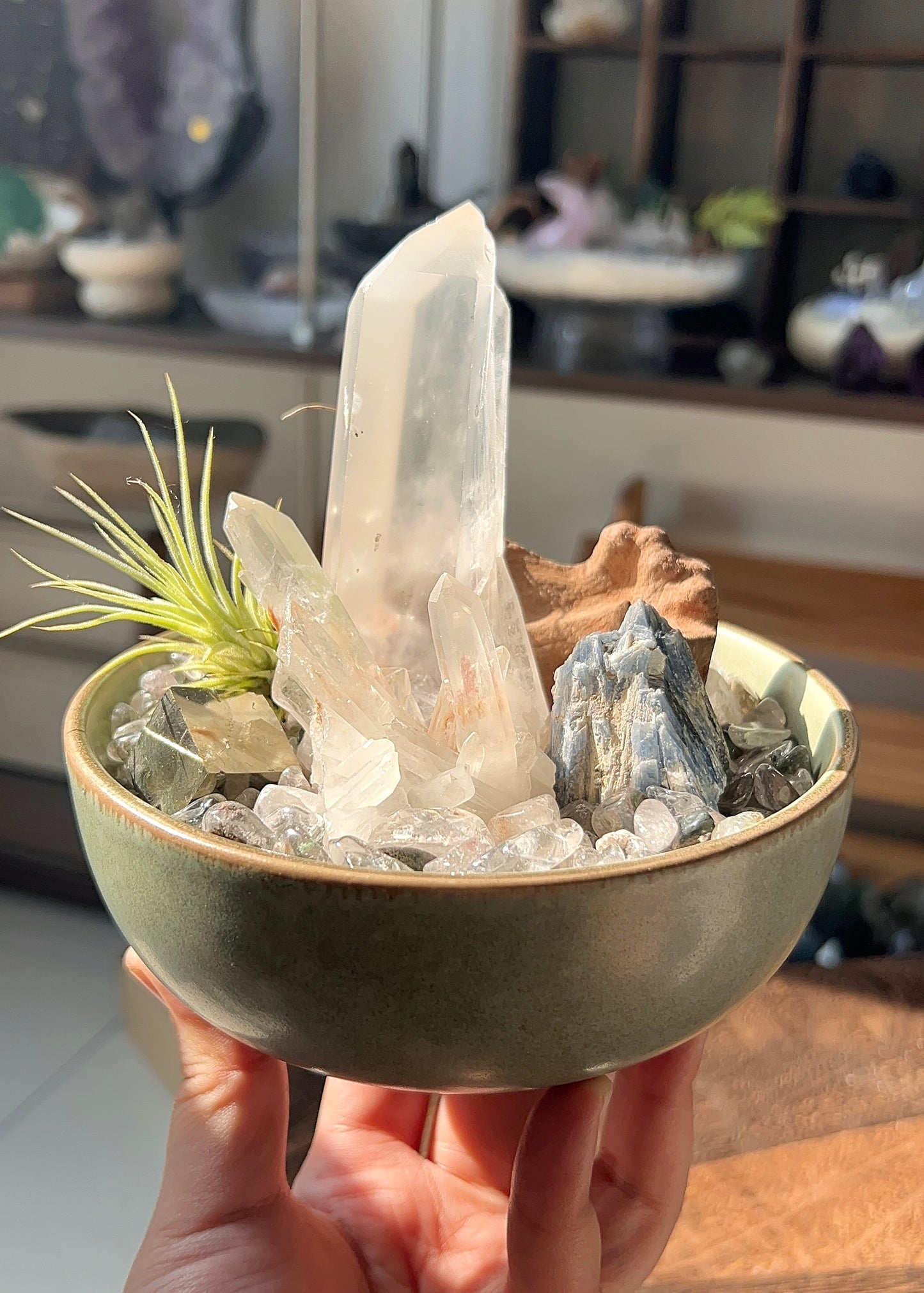 Clarity & Abundance Crystal Garden