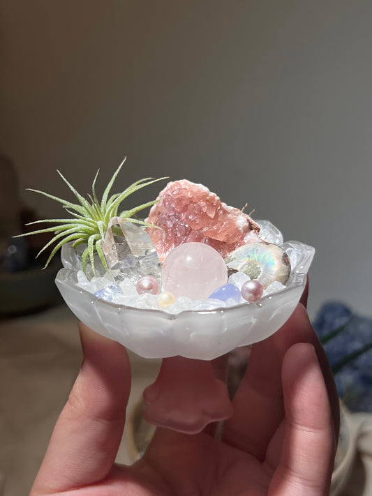 Pink Serenity Crystal Garden 🌸粉韵疗愈水晶花园